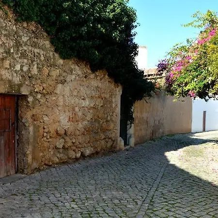 Arte 7 Albergue